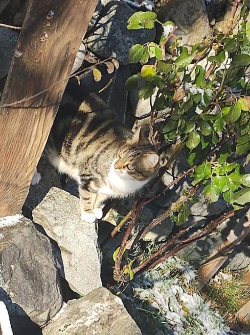 Chambre Ou Gite Dans Une Maison De Montagne - De Suzon A Zelie Entraigues  Exterior photo